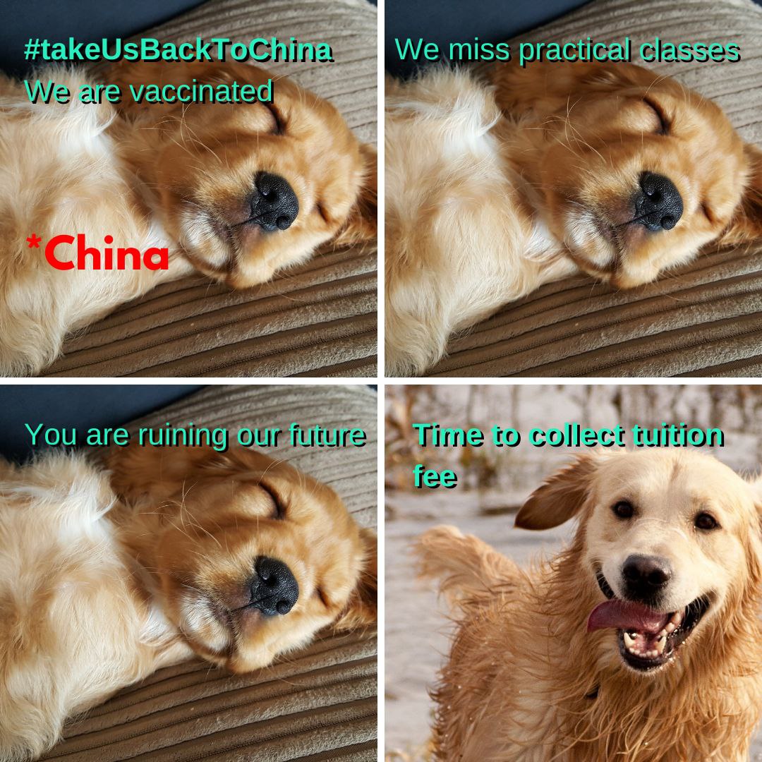 Mehakde59094381's tweet photo. We are paying full fees for online classes which are not even worth it. Practicals are important for medicos, we can't be just sitting here doing MBBS.
@DrSJaishankar @MEAIndia
@PMOIndia @WHO
#TakeIndianStudentsBackToChina
#PMSaveIndianStudentsOfChina
#takeUsBackToChina https://t.co/DEKt7h1KnX