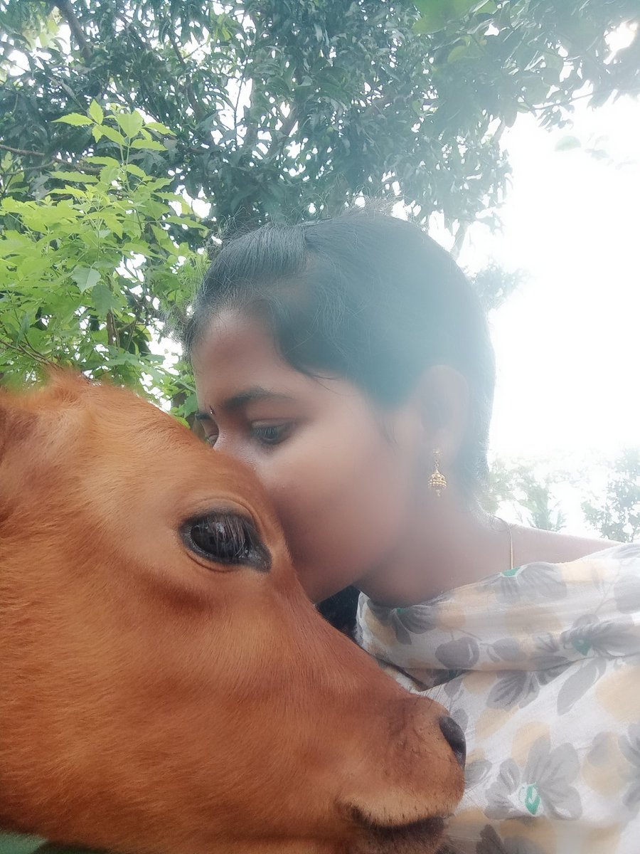 இன்னைக்கு Kiss Dayவாம்😍😁