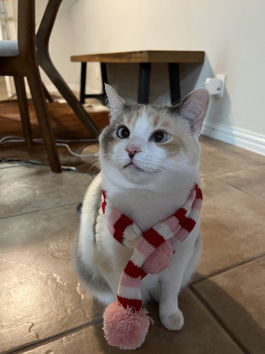 Round lady in scarf