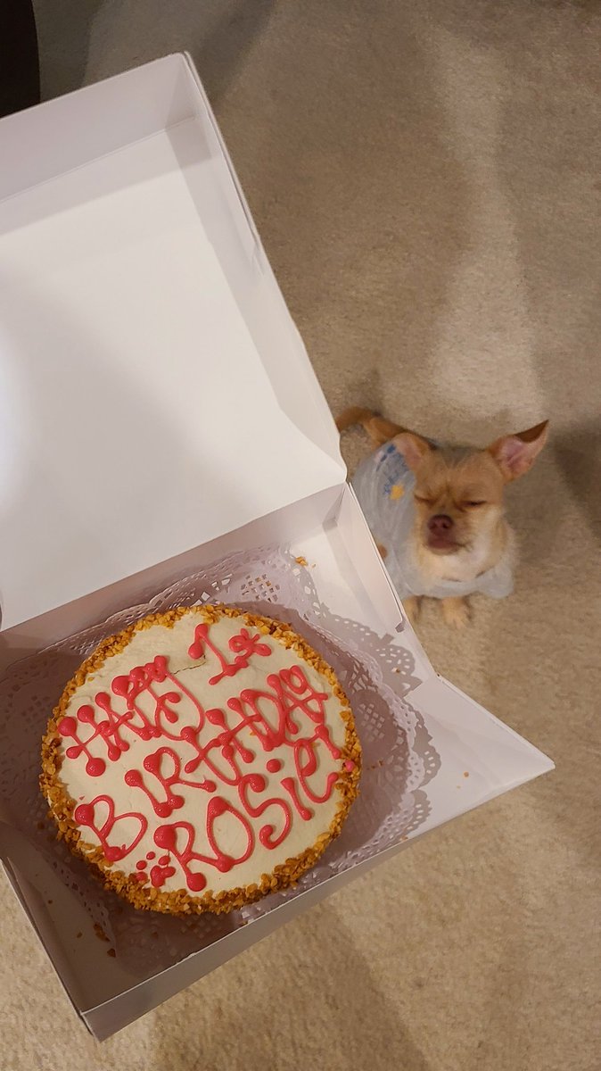 earvin_bulan's tweet photo. Happy 1st Birthday to my derpy lil Chug 🎂🐶 https://t.co/srMLPICYfd