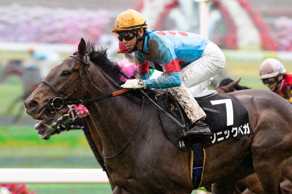 ソニックベガ Twitter Search Twitter