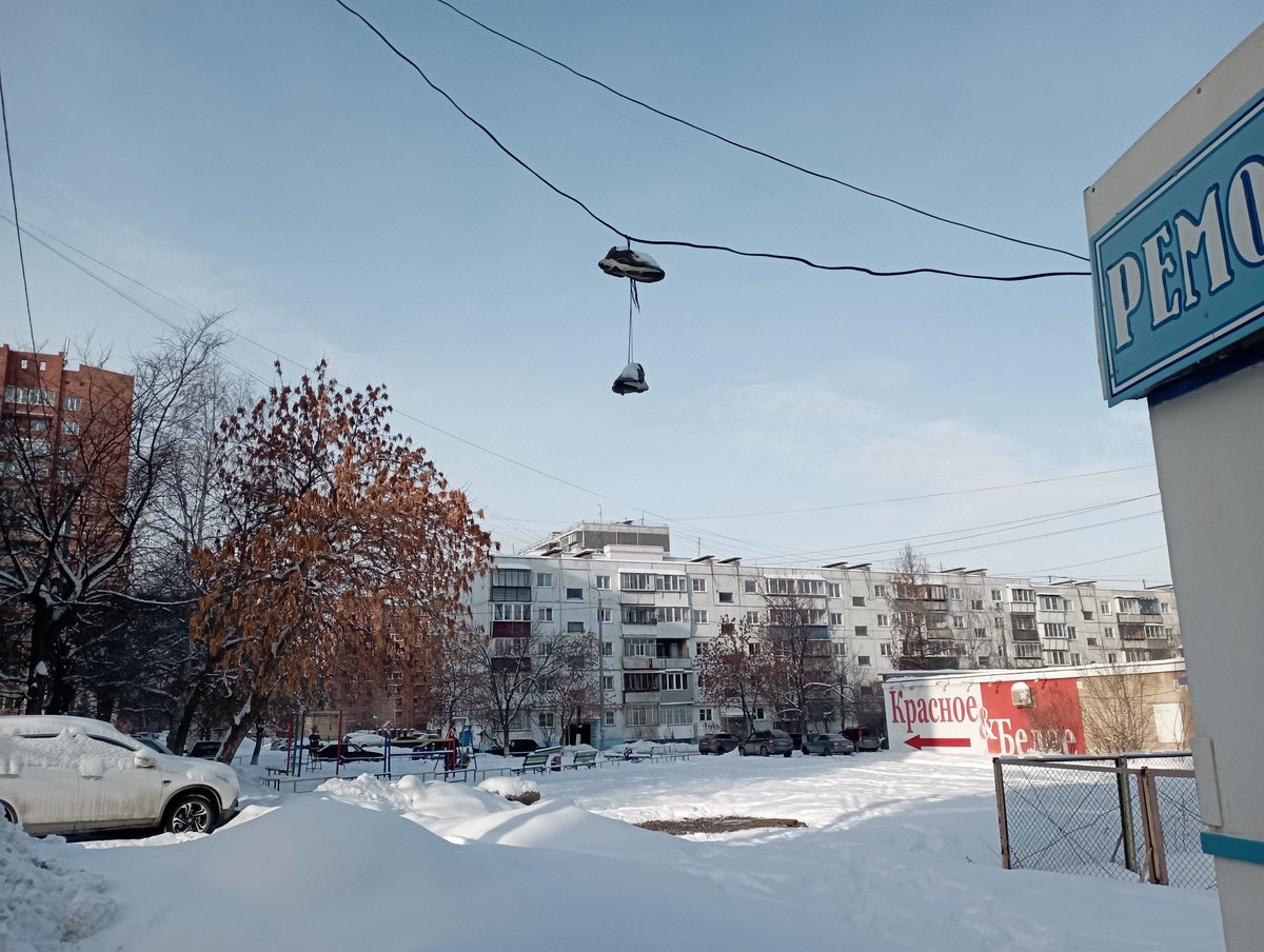 sialsoft's tweet image. Картина "Кроссачи прилетели", (Холст,масло)