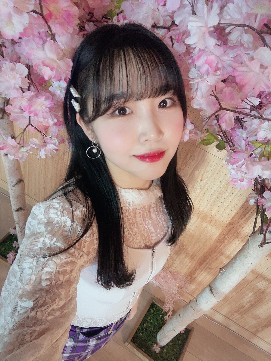 PF_Official_X's tweet photo. [#하린]

여기저기 벚꽃하린 사진 두고가야지🌸

#하린 #HARIN #ハリン 
#핑크판타지 #PINKFANTASY 
#ピンクファンタジー https://t.co/gyRB7lPwmd