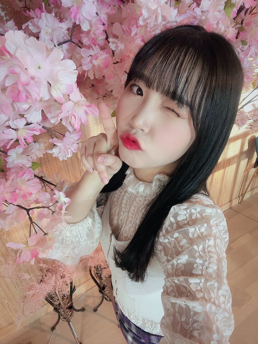 PF_Official_X's tweet photo. [#하린]

여기저기 벚꽃하린 사진 두고가야지🌸

#하린 #HARIN #ハリン 
#핑크판타지 #PINKFANTASY 
#ピンクファンタジー https://t.co/gyRB7lPwmd