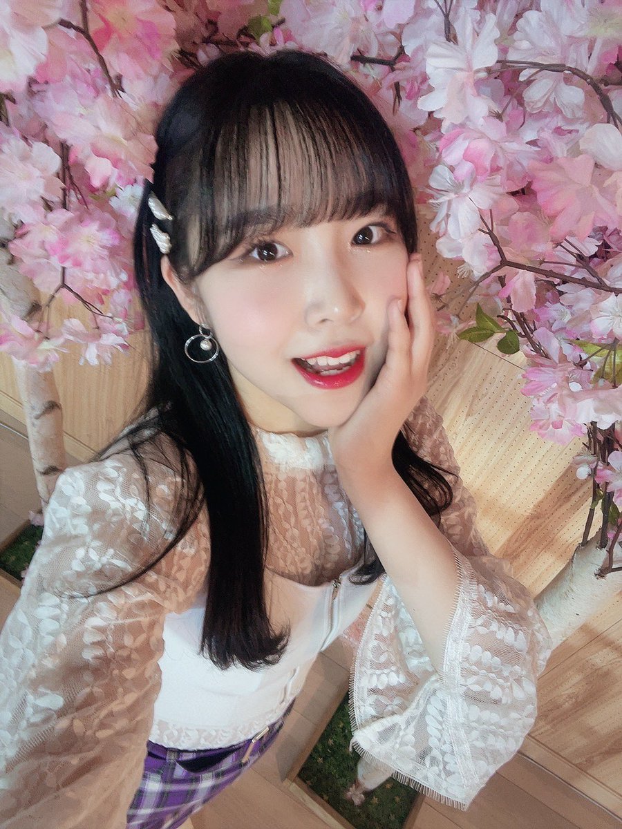 PF_Official_X's tweet photo. [#하린]

여기저기 벚꽃하린 사진 두고가야지🌸

#하린 #HARIN #ハリン 
#핑크판타지 #PINKFANTASY 
#ピンクファンタジー https://t.co/gyRB7lPwmd