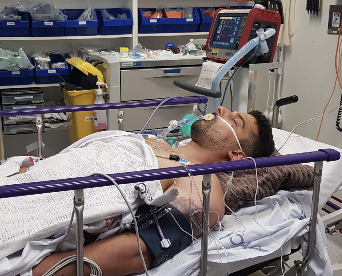 Avi Yemini tweet media