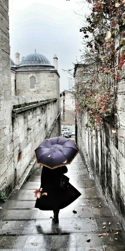 gerri232's tweet photo. Mai avere rimpianti: 
se è andata bene è meraviglioso, 
se è andata male 
è esperienza.

Eleanor Burford

#AmoreCheVieniAmoreCheVai  a #SalaLettura 

🌺Buona domenica🌺 https://t.co/XABr5vu21H