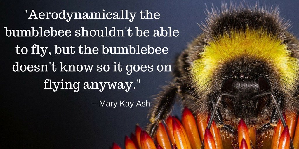 This's Mother Nature's glory 👼

👉The 20,000 species of wild bees, not only the "domestic" 🍯bee, APIS genus, and other pollinators, fertilize 80% of all the plants🌱and are threatened. Depend on them all the #animals. 😳

Save 'em👉change.org/SaveTheBee 🐝
#SaveTheBees #SDGs