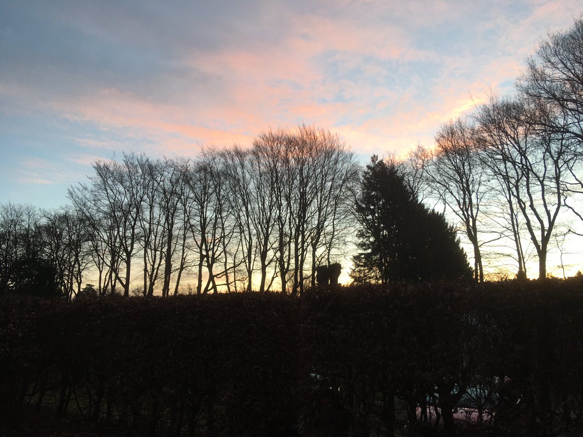 warnerbs's tweet photo. Zondag 13 februari, 7.56 u #zonsopkomst #hattem #leemcule https://t.co/Tcl0HCJyV6