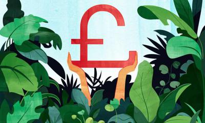 Make sure your cash is used in an environmentally friendly way, from current accounts to pensions fortitudefp.advisor.news/guardian/green…