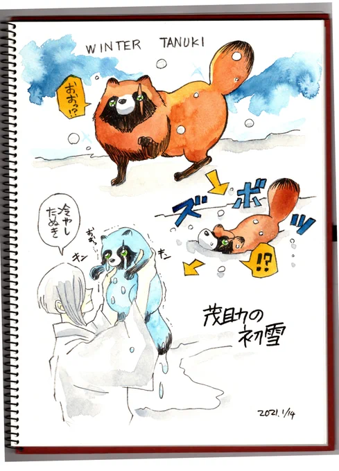 冷やしタヌキ
 #温泉の神様 