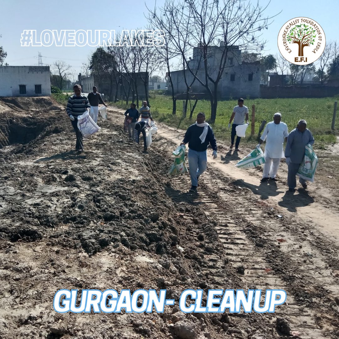 EFIVolunteer's tweet photo. E.F.I's #PondCleanUp at Gurgaon! #LoveOurLakes
Solid waste that polluted the Johad Kaliawas has now been removed thanks to our amazing volunteers who joined us yesterday!
#EFI #Gurgaon https://t.co/sSuV4CFiN5