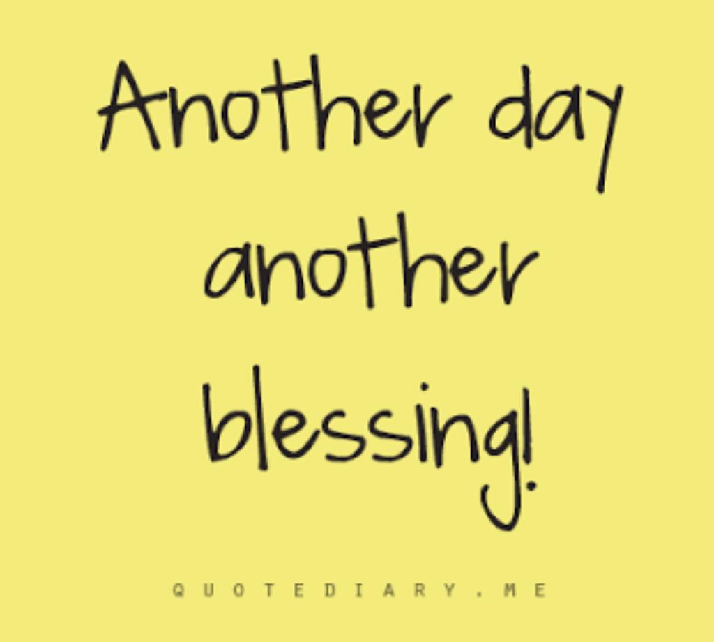 MusowInvest's tweet photo. Sunday is the perfect day to refuel your soul and be grateful for each and every one of your blessings.
.
Happy Sunday
.
#Buildingfromwithin https://t.co/KSk6M5USAB