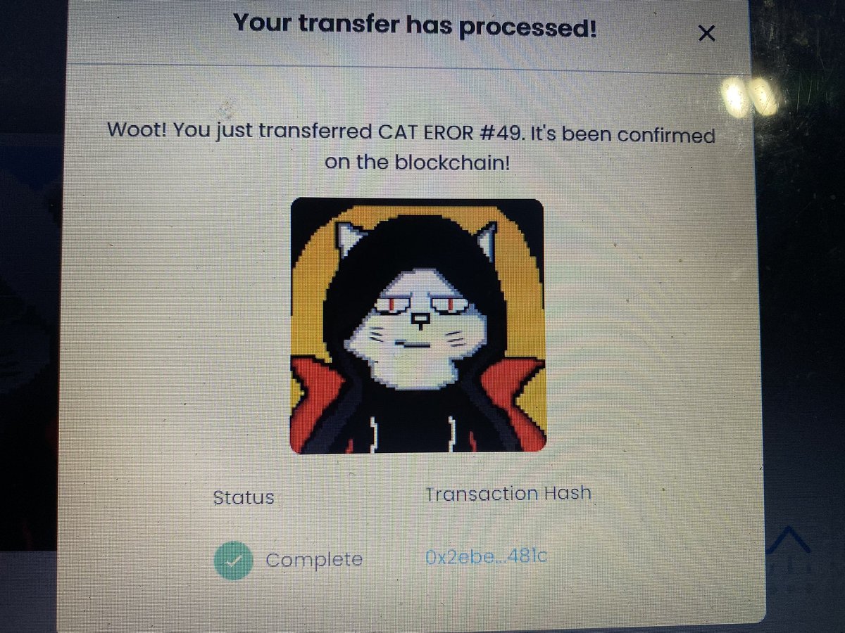 Cat eror tweet media