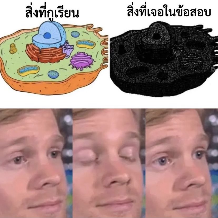 5525252555555252525555555555552525255555552525255252552555