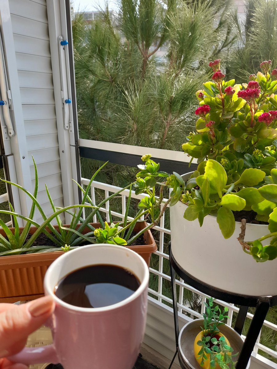 Gunaydin mutlu pazarlar herkese 😇🥰🙏