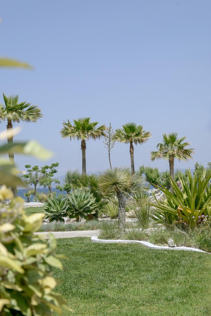 OceanisKos's tweet photo. Breathe in and enjoy the beauty that surrounds you! #oceaniskos #tuiblue #soontogether #kosisland #Greece #kos #summeringreece #vacationmodeon https://t.co/Sv3Aj6ifHD