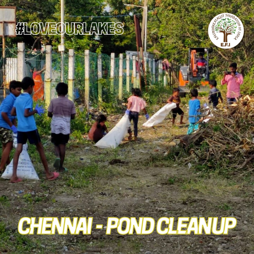 EFIVolunteer's tweet photo. E.F.I's #PondCleanUp at Chennai! #LoveOurLakes
Yesterday's clean up at the Kannagi Nagar Pond was bags filled with waste, and faces with the brightest smiles! We thank all those who joined us!
#EFI #Chennai https://t.co/vz4H23ykRc