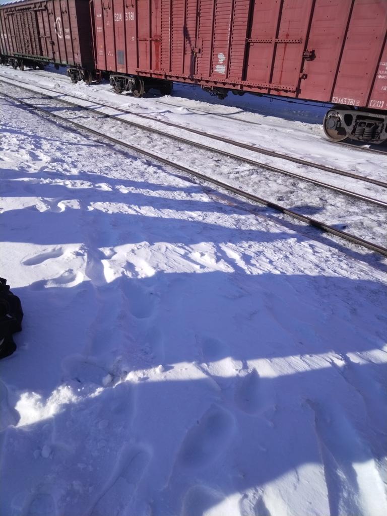 Наталья tweet media