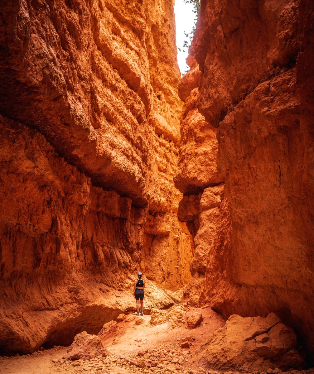 GN frens, a shot from my time in Bryce NP.

#NFT 
#NFTCommunity 
#NFTphotograph