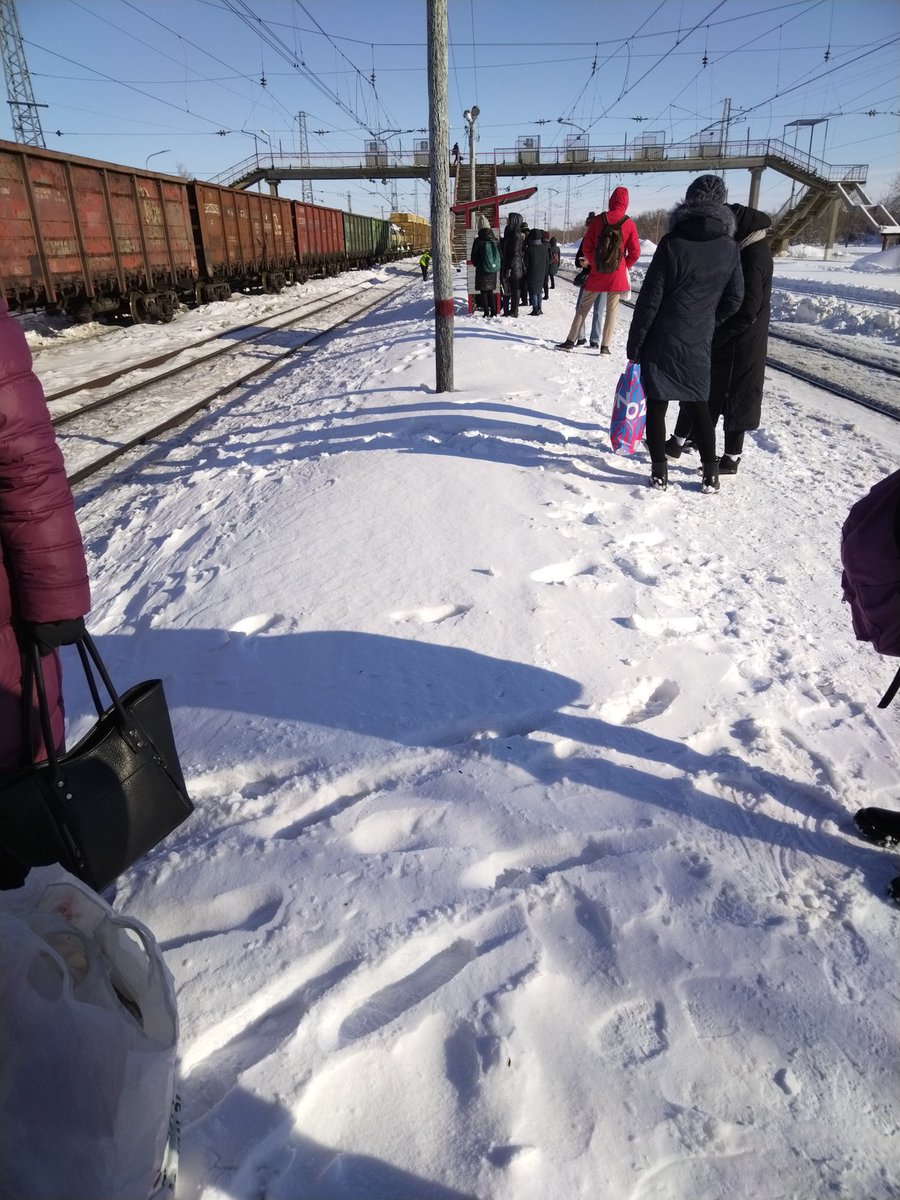 Наталья tweet media