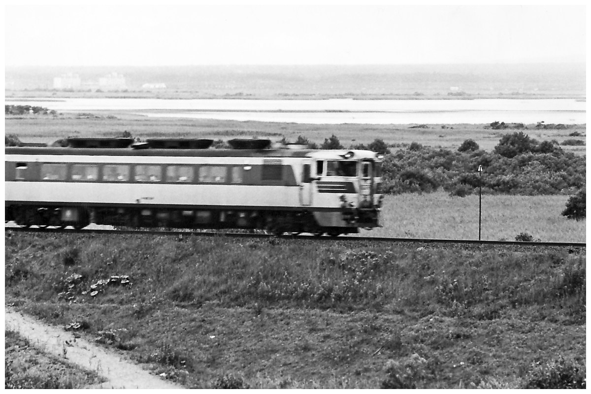 楓ちゃん tweet media