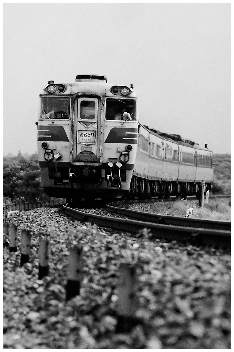 楓ちゃん tweet media