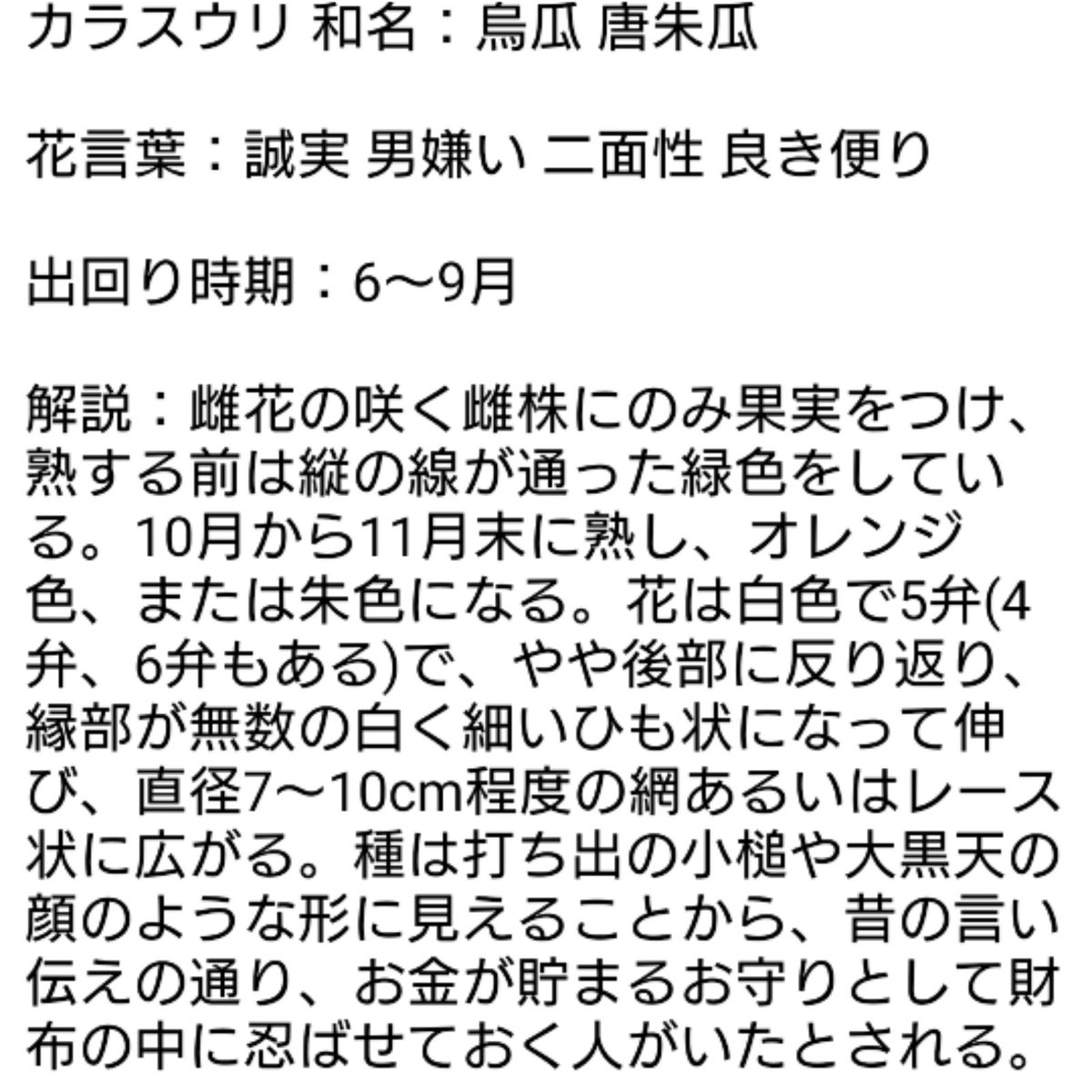 カラスウリ Twitter Search Twitter