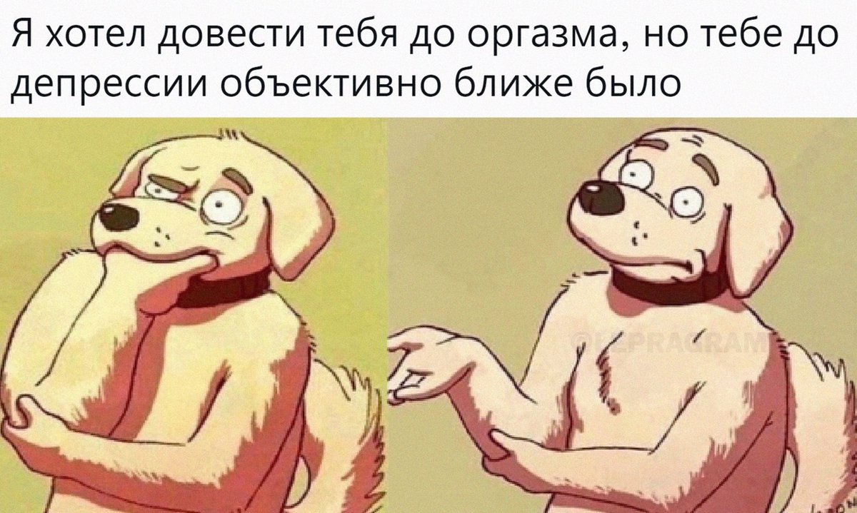 Довезти или довести как правильно. Довезти или довести как правильно