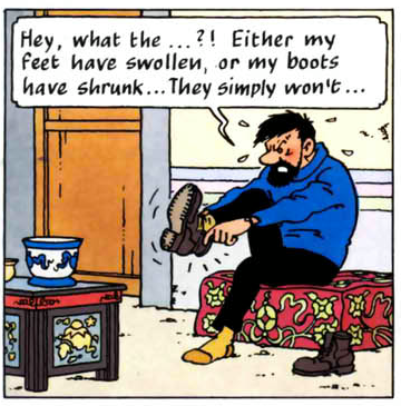 Barrera_Books's tweet photo. After two years of pandemic, many of us may encounter the same problem as Captain Haddock.
#alwayscamino #barrerabooks #caminodesantiago #tinitin https://t.co/Q4E5PMXIvt
