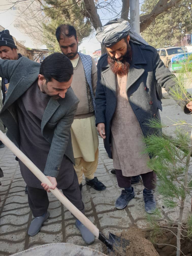 folad_qader's tweet photo. روند نهال شانی در شهر شبرغان ولایت جوزجان امروز رسما آغاز شد.
در این روند که به تعداد ۲۴۰ اصله نهال در شهر غرس شد، مقام ولایت، زراعت، محیط زیست، شهرداری و فعالان مدنی اشتراک داشتند.
چندی پیش از عدم روند نهال شانی در شبرغان انتقاد نموده بودیم که امروز شاهد این روند هستیم
#Folad https://t.co/5NNkzXoa9L