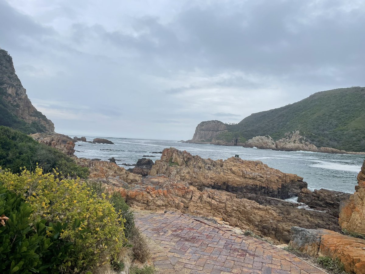 Elouise (@elouisehamman) on Twitter photo 