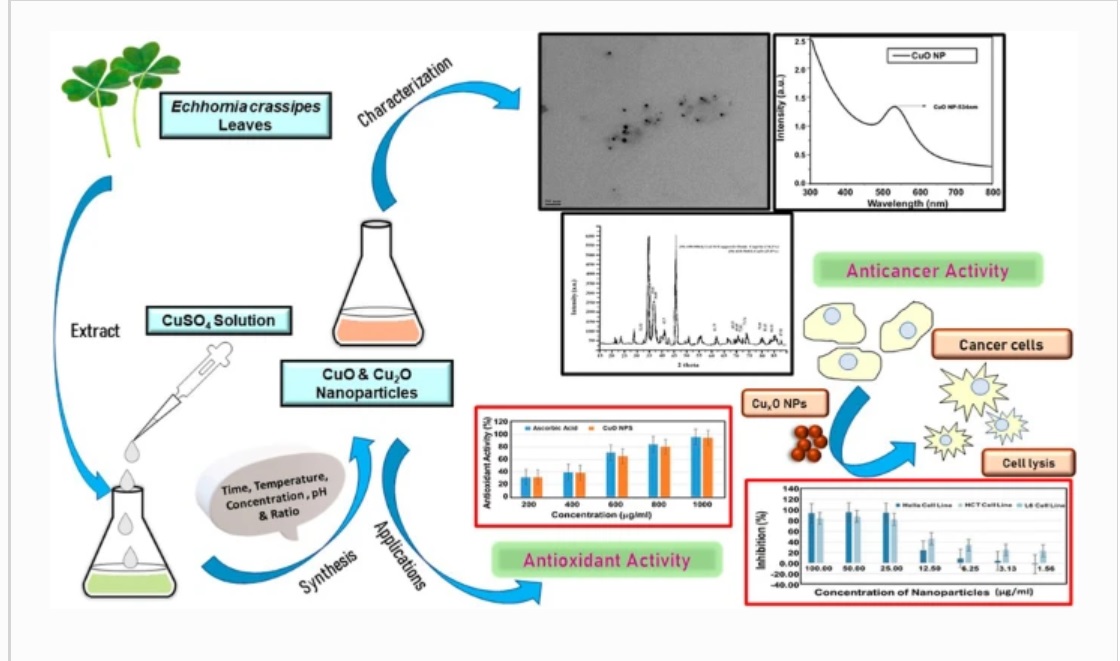 EmergentMateria's tweet photo. "One-pot concurrent biosynthesis of biphasic CuxO (cuprous and cupric oxide) nanoparticles using leaf extract of Eichhornia crassipes and investigation of their potent healthcare applications"
Access here: https://t.co/a7i0kiXH6q
 #nanoparticles #nanotechnology #nanoscience https://t.co/wWbrLsoSwp