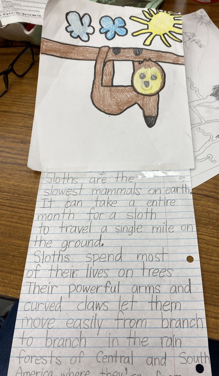 SusanFennell14's tweet photo. Research, clay animals for their dioramas and all things about the rainforest. #rhpsisthebest #resource https://t.co/fQoRf5bktL