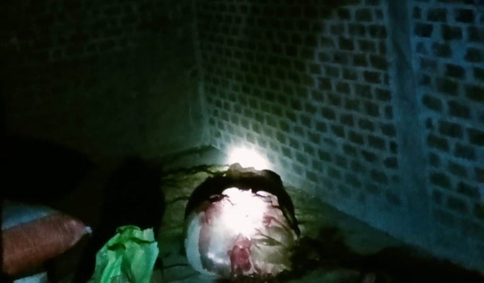 विदिशा-लटेरी मे गाय के काटने की सूचना मिली है ये घटना क्रूरता,बर्बरता,वीभत्सता एवं मानसिक विकलांगता है!

मै इस घटना की केवल निंदा नही बल्कि दोषियो पर कड़ी से कड़ी कार्यवाही की मांग करता हूं!
घटना क्षेत्र व राज्य से लेकर केंद्र तक भाजपा की सरकार है!
अपराधियों को संरक्षण किसका है ?