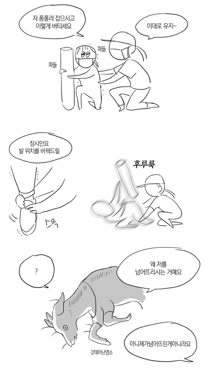 피티를 시작했다 
