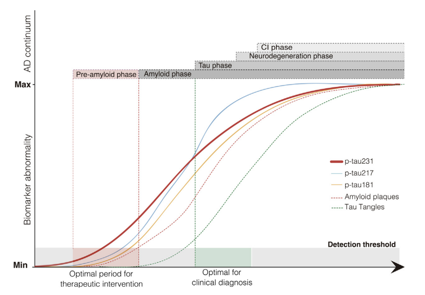 NicholasAshton's tweet photo. I am very pleased to (finally!!) share this paper co-authored with @andrealessa @pedrorosaneto in @eBioMedicine 

More evidence that #pTau231 changes very in #AD continuum – associated with subtle regional #Aβ deposition. #pTau217 shows ⬆️ fold-changes in  symptomatic disease. https://t.co/f7zWm5iarA