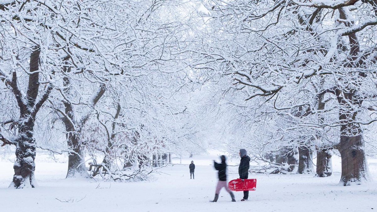 With all the warm, wet, windy weather this winter in UK, hard to believe it was like this last year <a href="/WollatonHall/">Wollaton Hall</a>…!

<a href="/wollaton_arts/">Wollaton Arts</a> @CityArtsNotts #Nottingham #NOTTINGHAMSHIRE #snow #sunrise #stags <a href="/VisitEngland/">VisitEngland</a> <a href="/VisitNotts/">Visit Nottinghamshire</a> <a href="/bbcemt/">BBC East Midlands</a> <a href="/BBCNottingham/">BBC Nottingham</a> @UoNintstudents <a href="/UoNphotography/">University of Nottingham photography</a>