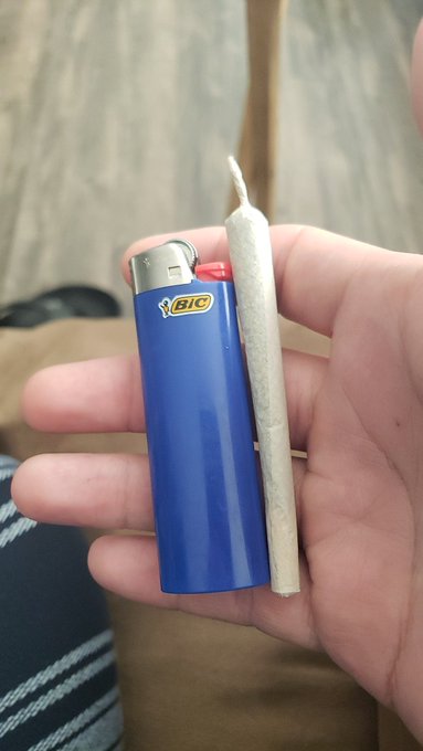 Coincidence or reminder to smoke? 🤔😁 https://t.co/KNaiIJoIXj<a href="/tag/tittytuesday"class="tags"><span>#tittytuesday</span></a><a href="/tag/tummytuesday"class="tags"><span>#tummytuesday</span></a>