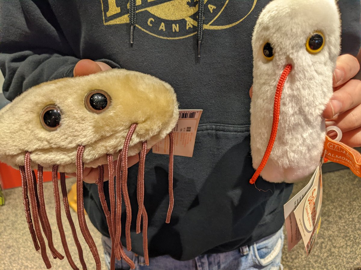 fcseteach's tweet image. I teach Food Borne Illnesses in Foods 1 class. I found these at the local science center! Who wants E. Coli or Salmonella? #sayyestofcs #fcssucess  #fcseducatorsday @GIANTmicrobes