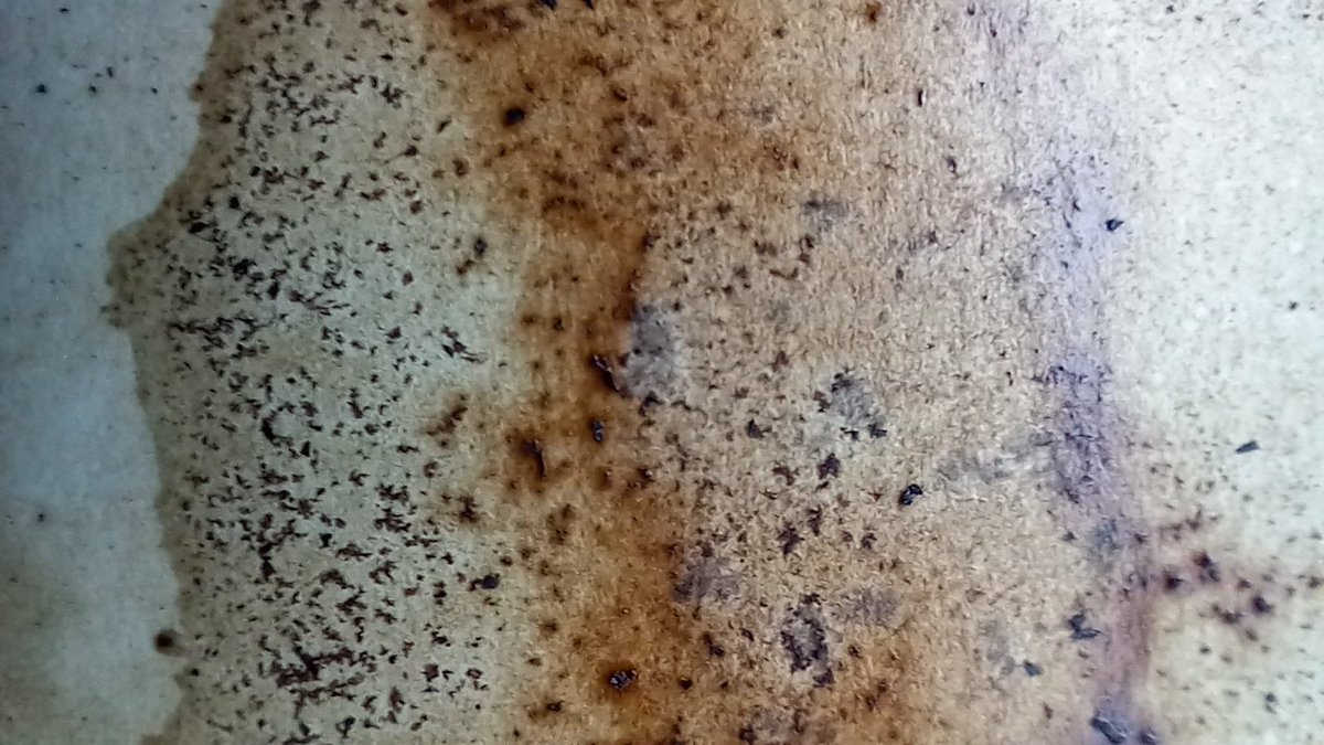 Just one more thing to make with barley #botanicalink <a href="/BarleyPlanet/">BarleyPlanet</a> <a href="/NatProdChem/">Prof. Wendy Russell</a> <a href="/Plant_Ionome/">Paula Pongrac</a>