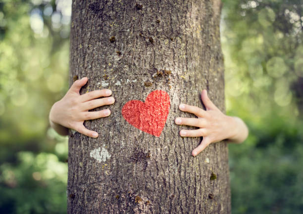 youthforanimals's tweet photo. ♥️🌳♥️
#Save_Raika_Forest
You can be the superhero this earth needs, by saving #trees. Celebrate this valentine with trees and become earth buddy. https://t.co/Cz4WRShTbG