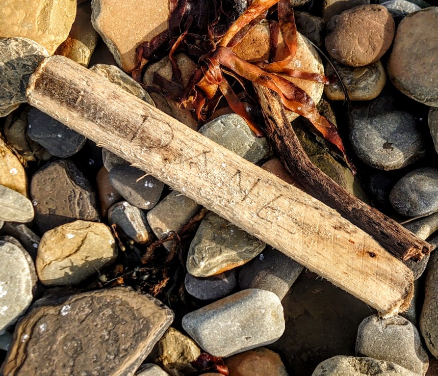peediepuss's tweet photo. "First it was a gold coin..." Today, washed onshore in the Orkney Islands, Scotland. I went straight home. Locked all the doors and windows.
๐ฑ๐ฑ๐ฑAAARRRGGGHH๐ฑ๐ฑ๐ฑ @jamieleecurtis @abarbeau #RunAndyRun #PoorMrsKobritz #TheFog #TwentyFirstOfApril https://t.co/XlFQ99td1y