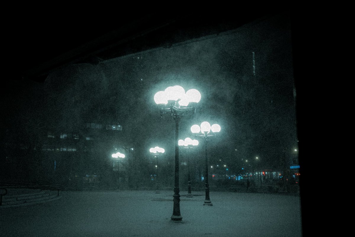 calm amongst the chaos