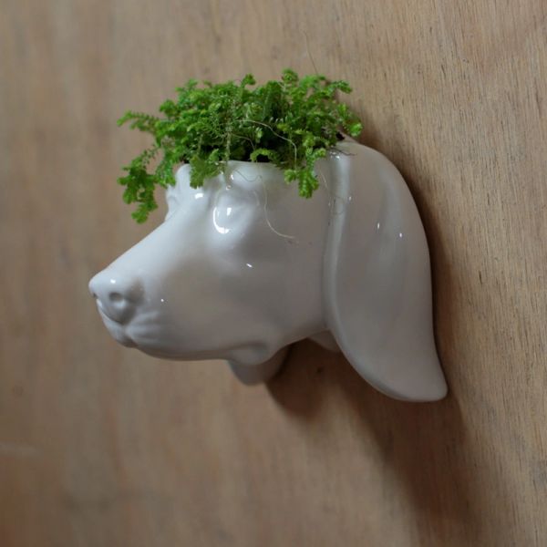 Decorative Ceramic Indoor Wall Planter - Dog 
They are recommended for use indoors 
Dimensions: Height 10cm Width 10cm Depth 11cm
£8.95
rusticcharmscountryinteriors.co.uk/shop/ols/produ… #dog #wallplanter #planter #flowerpot #homedecor #homeaccessories #homeinteriors