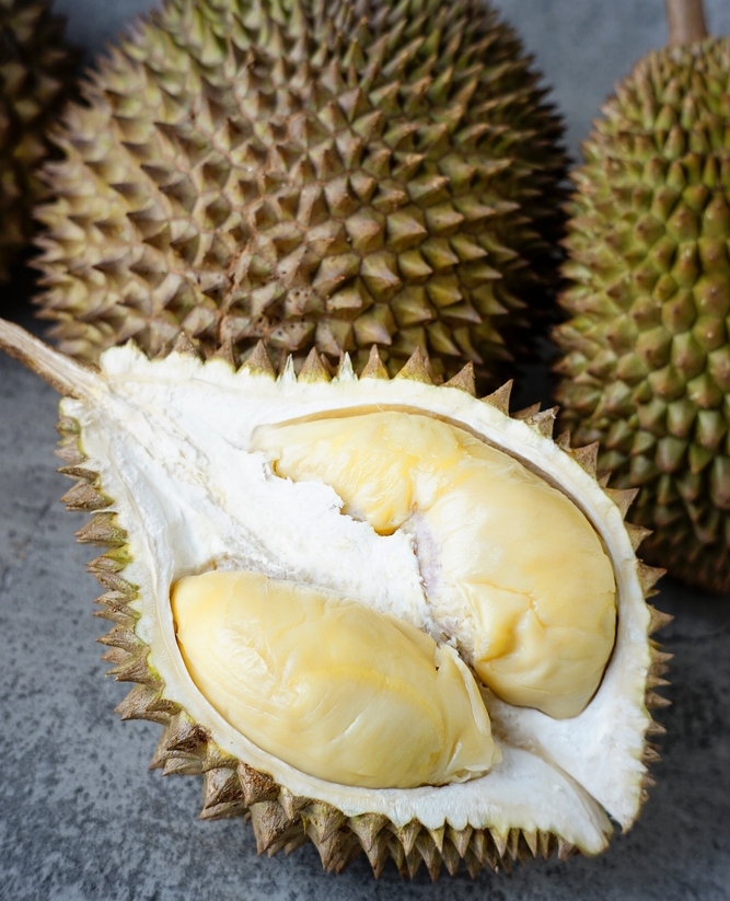 box_grocery's tweet photo. In season now: Fresh Whole Durian 👑

Whether enjoy them fresh or add to numerous recipes, durians are super healthy and delicious, thanks to their sweet and savory taste 😍

https://t.co/PzT7YcIlKj https://t.co/X28Z99nDUt