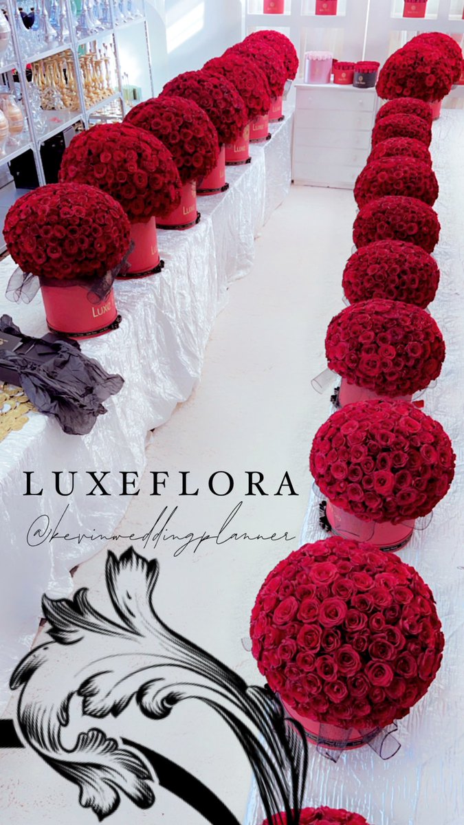 It’s all looking beautiful 🌹♥️