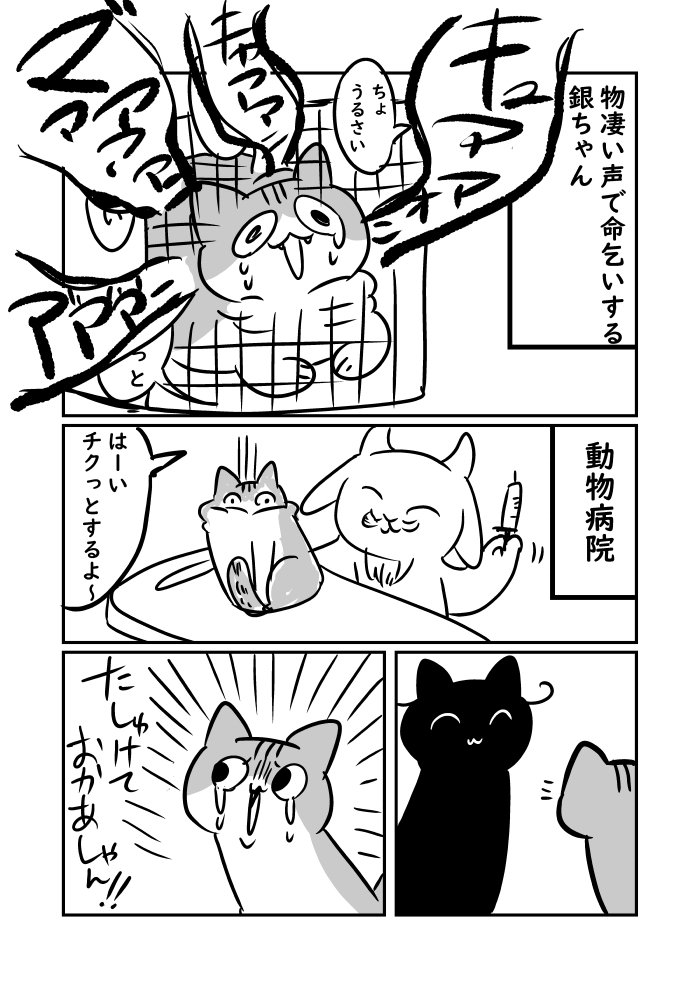 日記再掲 銀ちゃん② 