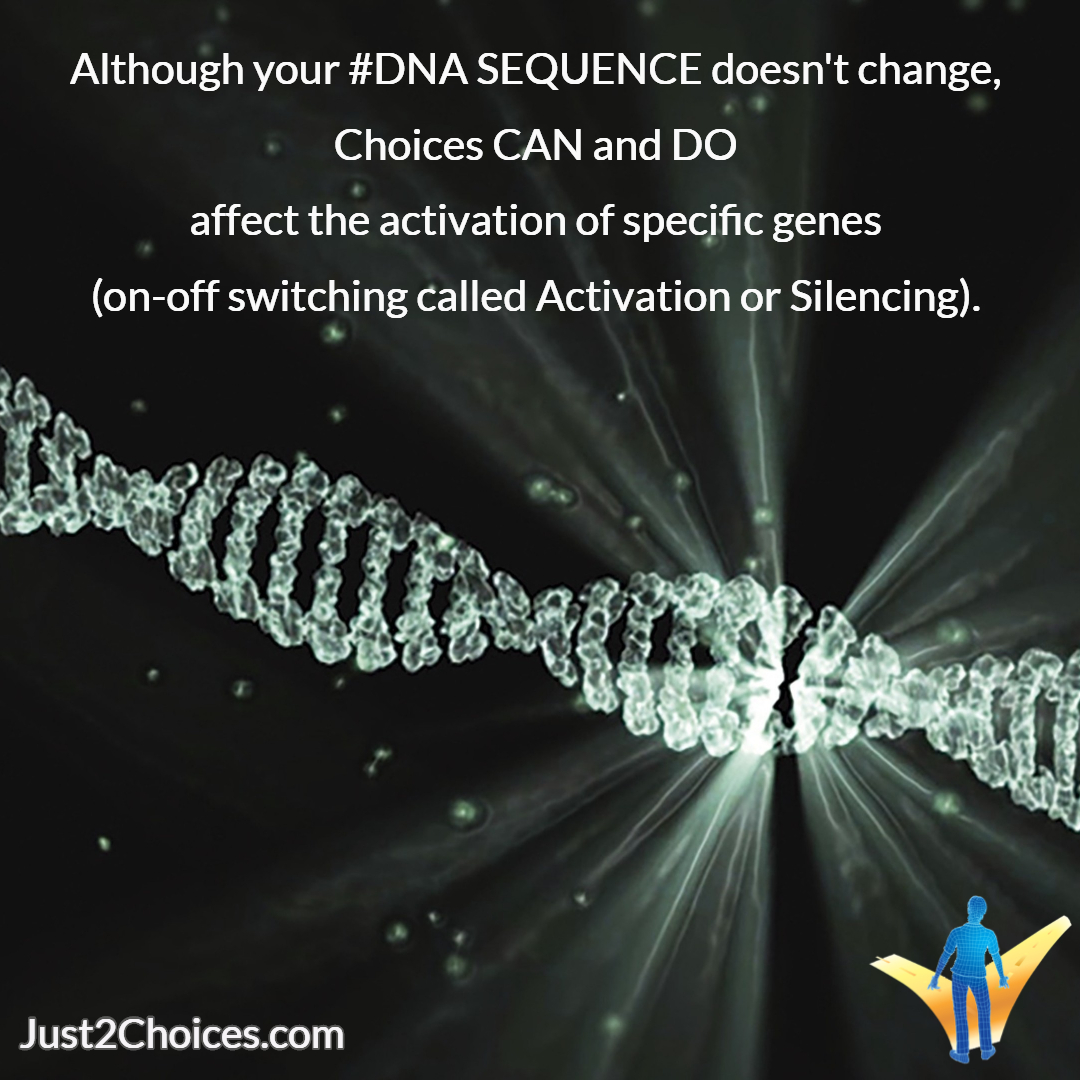 Just2Choices's tweet photo. Your DNA SEQUENCE doesn't change, but Choices CAN & DO AFFECT the activation of specific genes (on-off switching called Activation or Silencing).
Use Choice to affect your DNA - Tell YOUR New Story!
View the Link in our Bio for more.
#HighVibe #ItsAllaChoice #SetYourselfFree https://t.co/kImppgmPQH