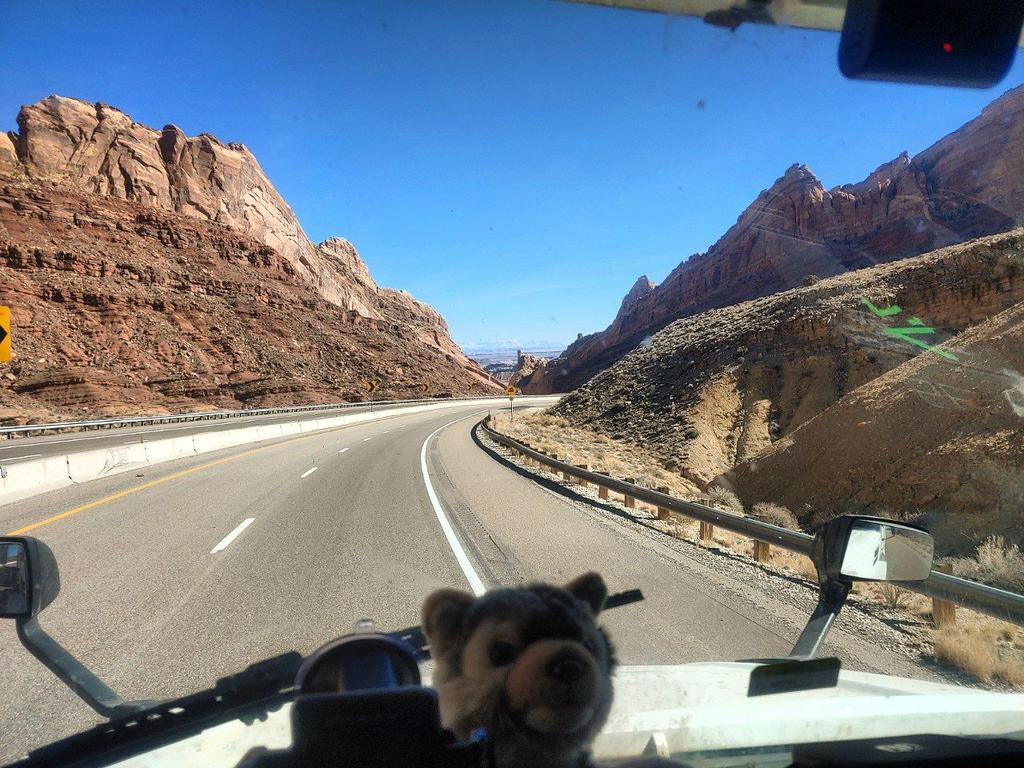 SoundVillageDog's tweet photo. I didn't get a good photo op for fursuit Friday so this week it's gonna be #ScenerySaturday https://t.co/BWbr23SqIu